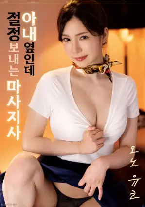十七楼的月光电影海报
